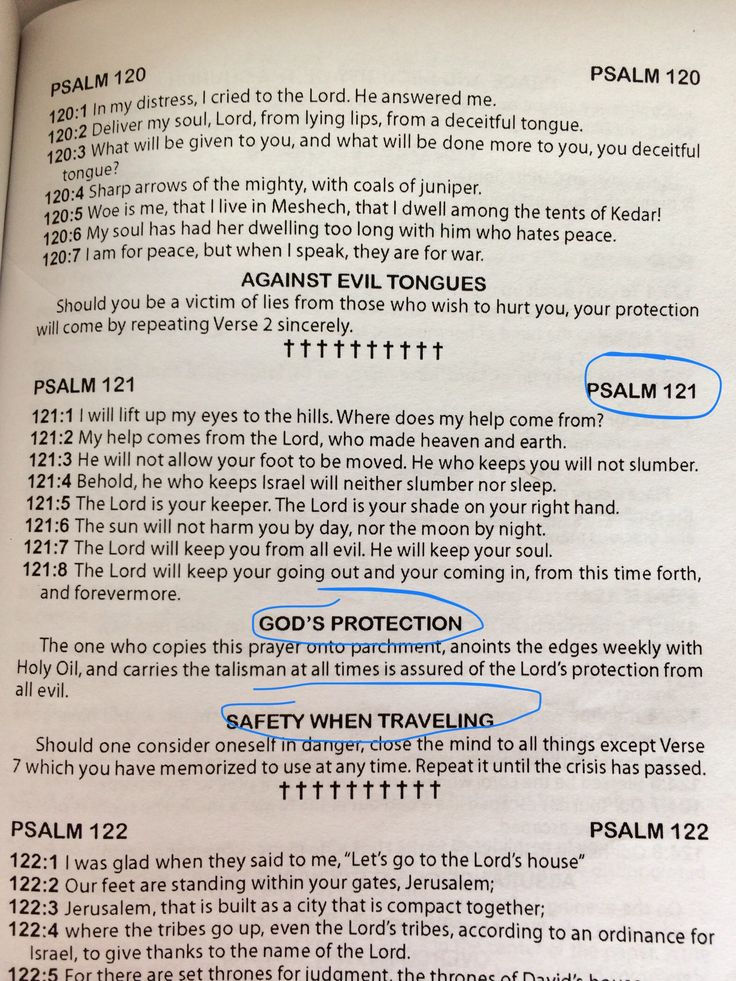 an open bible with the words and numbers in blue highlighted on it, as well as some other text