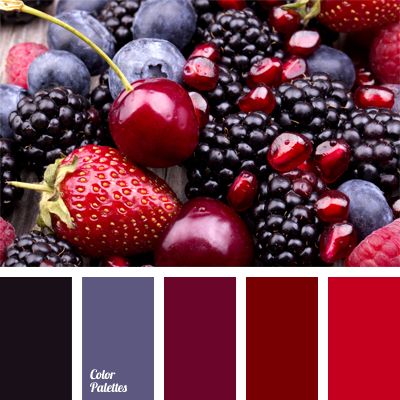 berries, raspberries and blueberries are arranged in a color palette