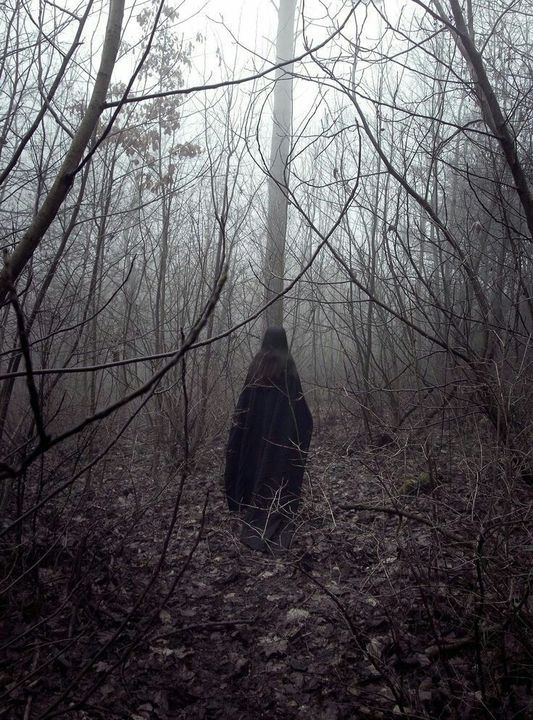 a black and white photo of a person standing in the woods with their back turned to the camera