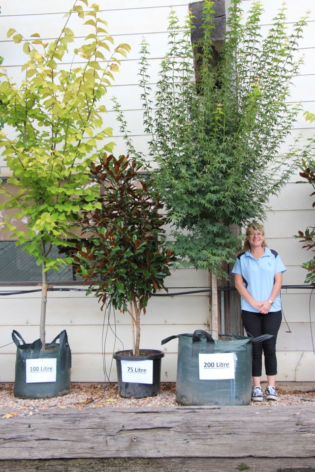 a woman standing in front of some trees with buckets on the ground next to them