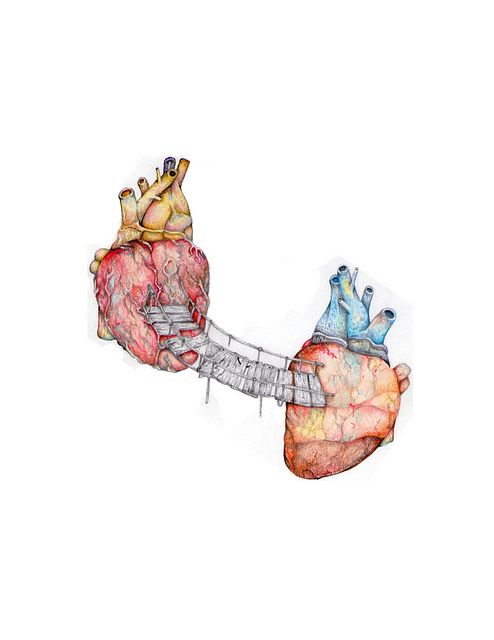 an image of two human hearts connected to each other