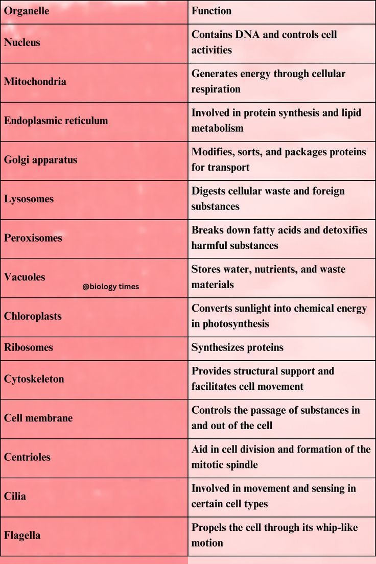 the table shows different types of cell phones and their functions in cellular systems, including