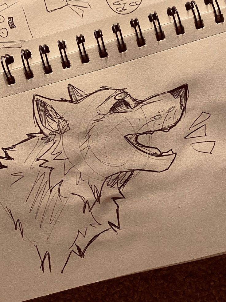 a drawing of a wolf is shown on a piece of paper