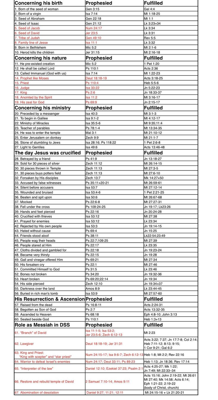 a table with the names and numbers of different types of items in each column,