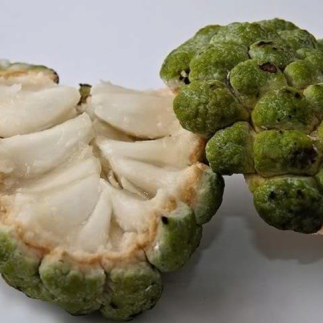 two pieces of artichoke sitting next to each other on a white counter top