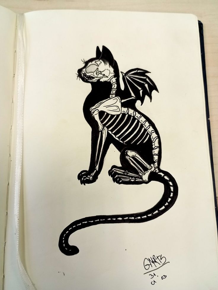 a drawing of a cat with a skeleton on it's back