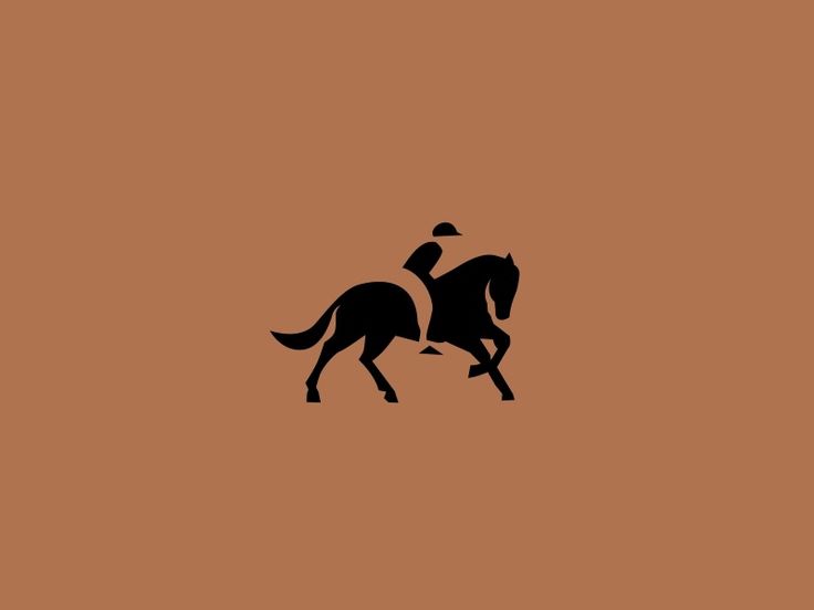 the silhouette of a horse and rider is shown on an orange background with black accents