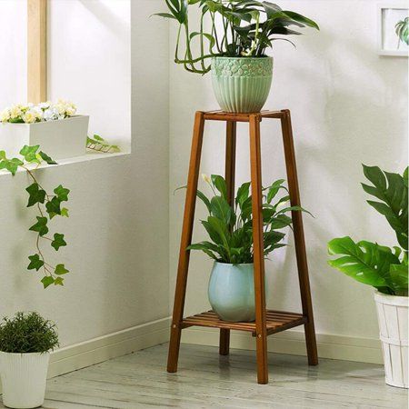 three different types of houseplants are arranged in the corner of a white room