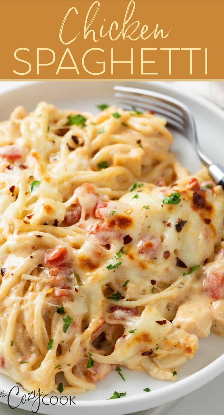 a white plate topped with chicken spaghetti