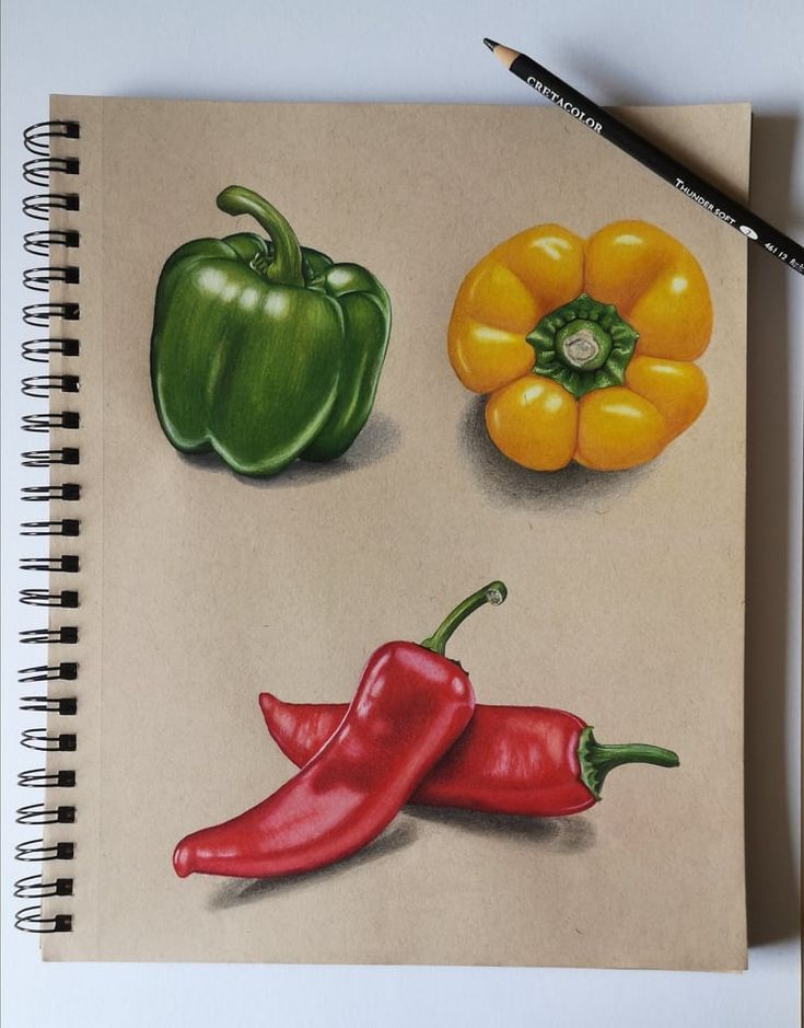 a drawing of peppers on a piece of paper