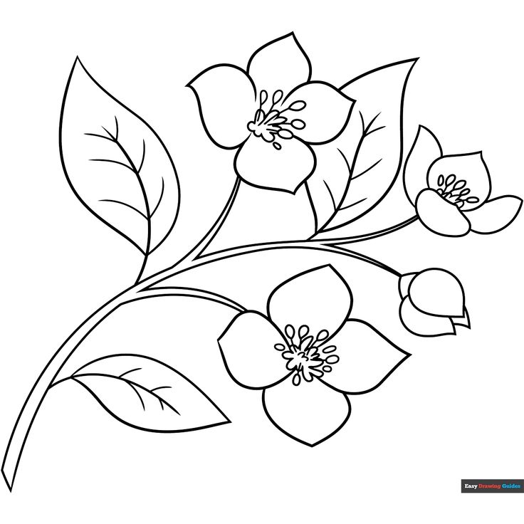 Free Jasmine Flower Coloring Page for Kids Jasmine Flower Drawing, Jasmine Flowers, Carrot Drawing, Printable Flower Coloring Pages, Fabric Paint Designs, Flower Drawing Tutorials, Jasmine Flower, Flower Art Drawing, Detailed Coloring Pages