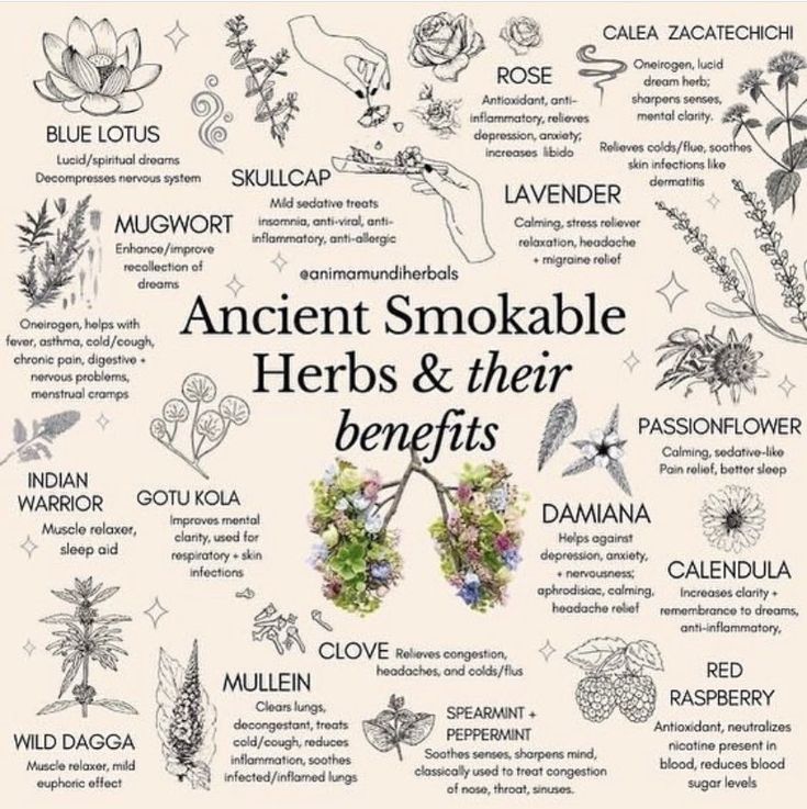 rainbow bandit on Twitter: "I ordered a few . I’ll report back.… " Smokeable Herbs, Herbs And Their Benefits, Smokable Herbs, Dream Herbs, Medical Herbs, Magia Das Ervas, Magic Herbs, Magical Herbs, Witch Spell Book