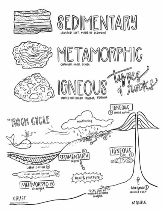 an illustrated diagram showing the different types of food