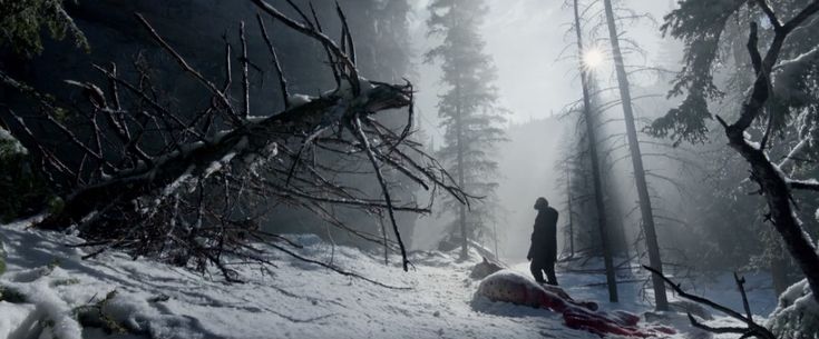 a person walking through the woods on a snowy day