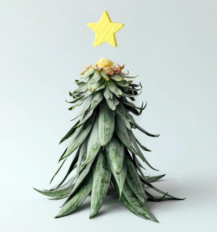 a small christmas tree with a star on top