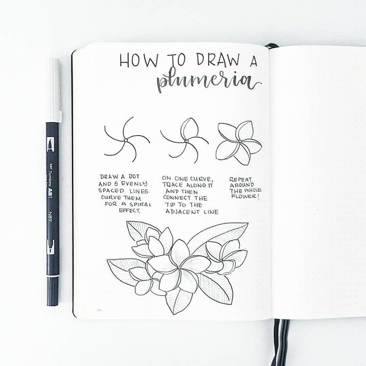 an open book with instructions on how to draw a plumeria