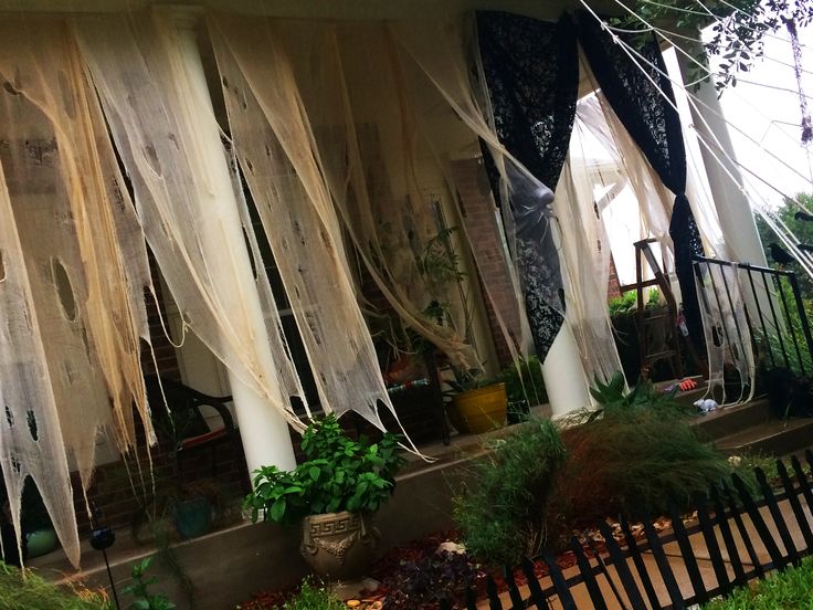 an outdoor area with various plants and curtains hanging from the side of it, along with potted plants