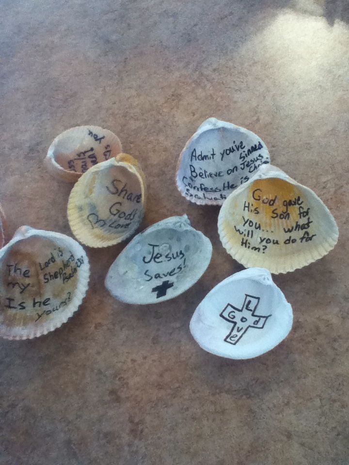 five seashells with hand written messages on them