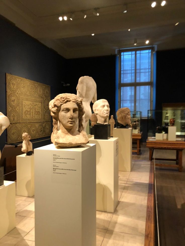 there are many busts on display in the museum