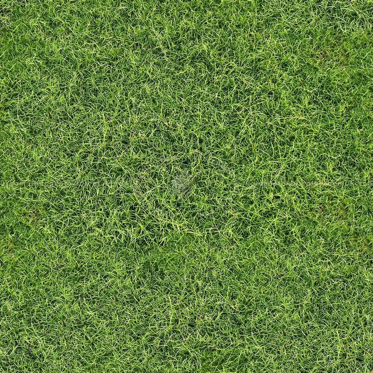 an aerial view of a green field with grass and bushes in the foreground, taken from above