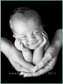 a black and white photo of a baby being held by two hands