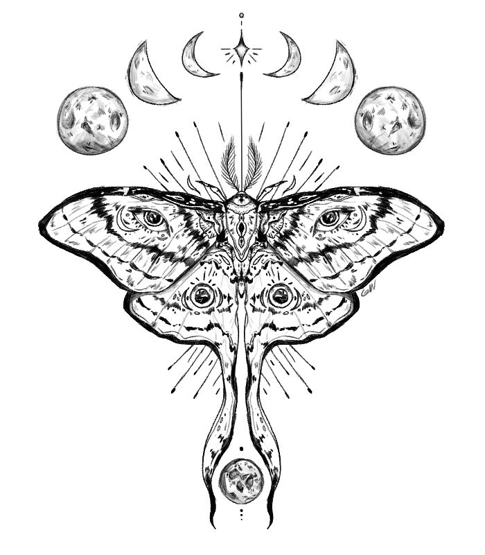 a moth that is sitting on top of the moon and has phases in its wings