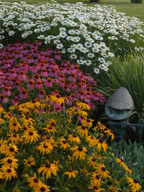 a garden filled with lots of flowers next to a lush green field covered in white and yellow flowers