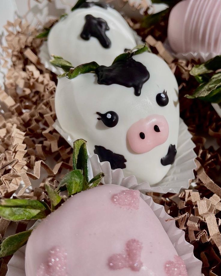 there are some chocolates decorated to look like cows