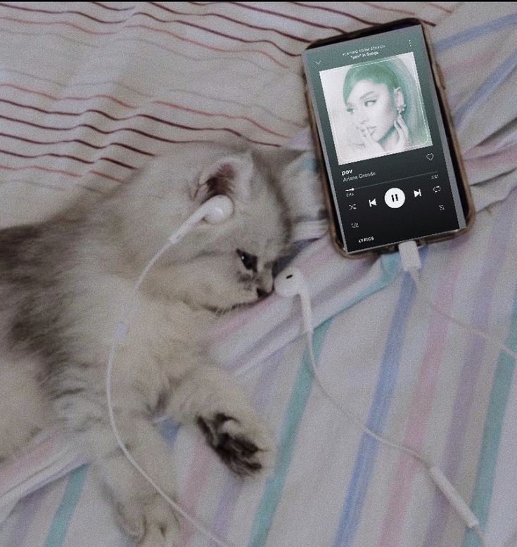 a cat laying on top of a bed next to an mp3 player