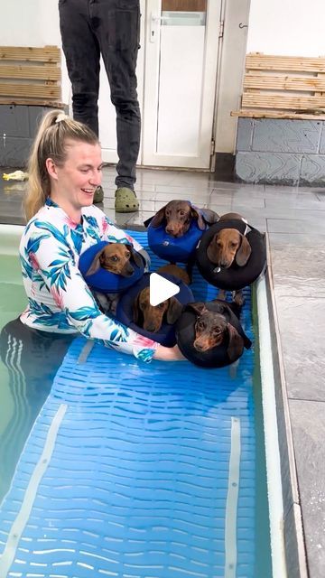 a woman sitting on the edge of a swimming pool with dogs in hats around her