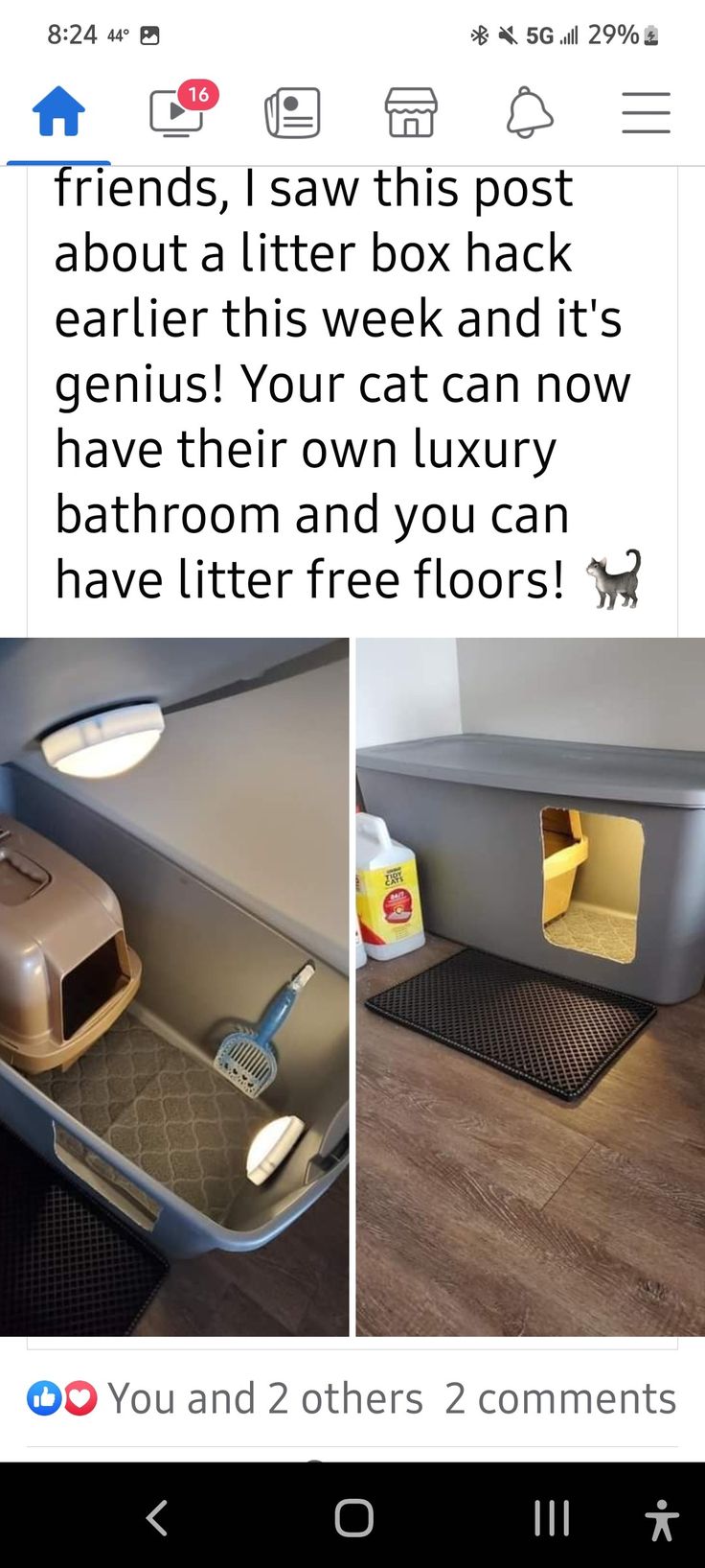 an image of a cat litter box with its door open and the words friends i saw this post about a litter box back