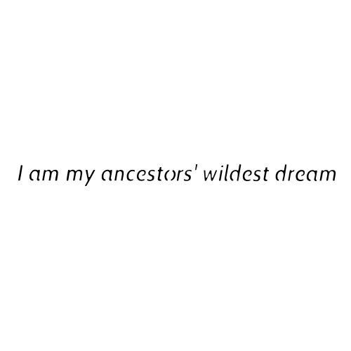 the words i am my ancestor's wildest dream written in black on a white background