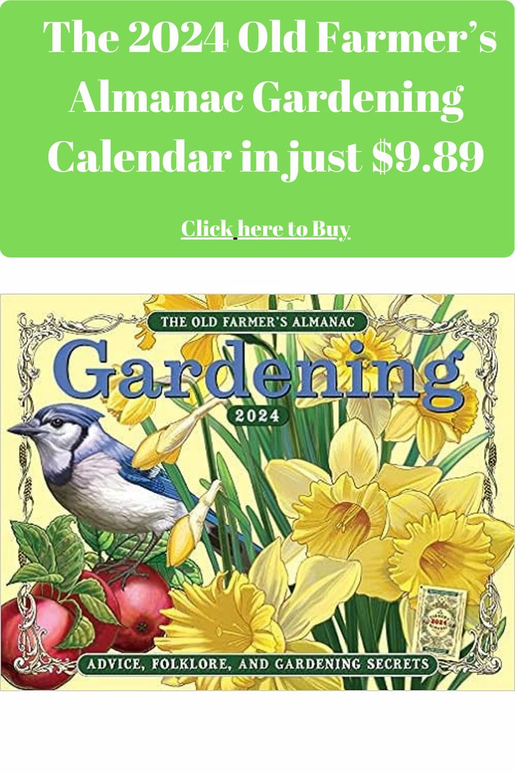 The 2024 Old Farmer’s Almanac Gardening Calendar Calendar – Wall Calendar, August 1, 2023 Gardening Calendar, Calendar August, Old Farmer, Farmers Almanac, Calendar Wall, Old Farmers Almanac, Garden Calendar, Calendar 2024, August 1