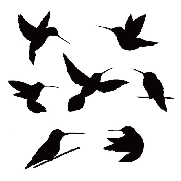 the silhouettes of hummingbirds are shown in black and white