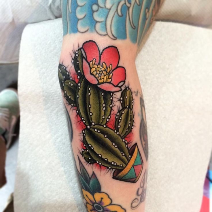 a person with a tattoo on their arm has a cactus and flower in the middle