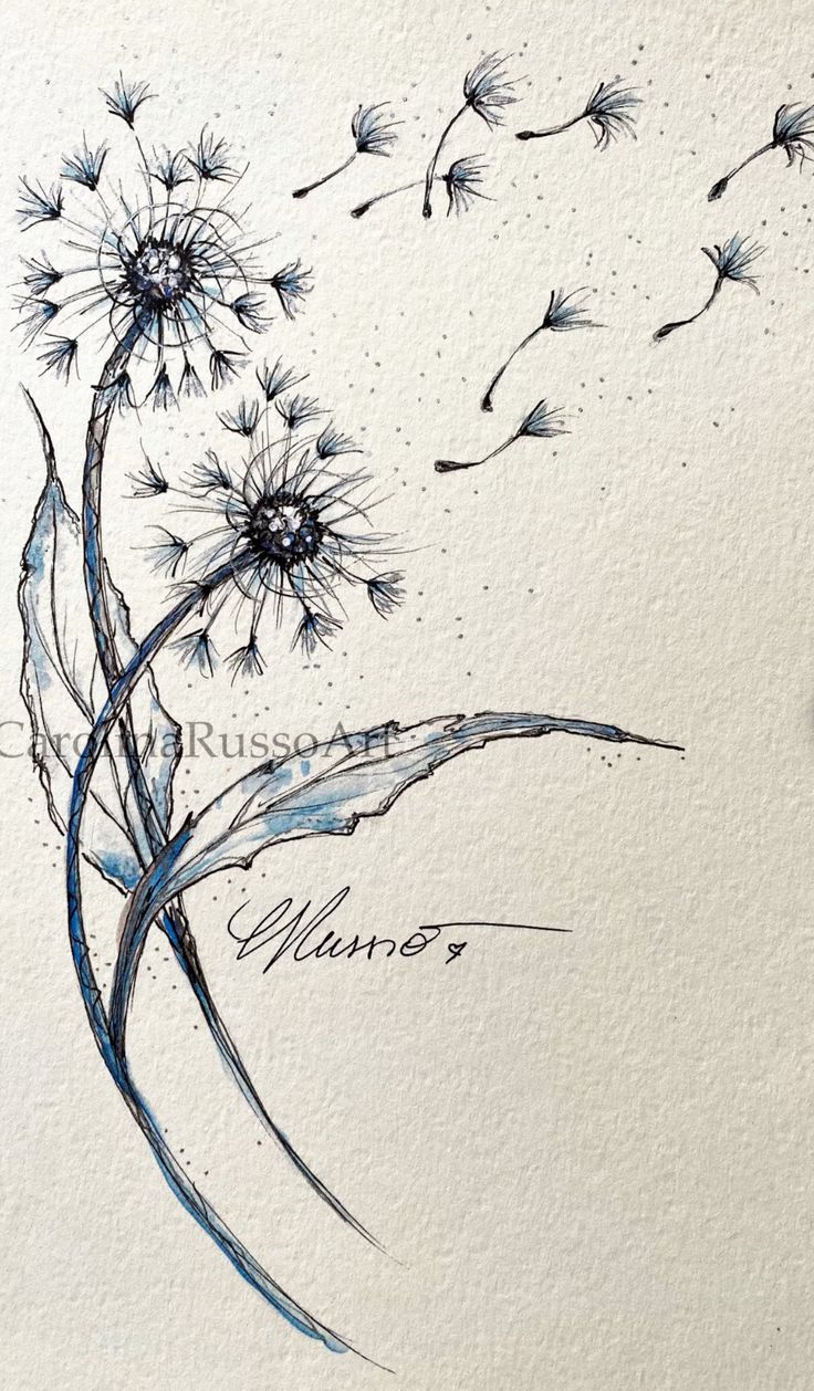 a drawing of a dandelion blowing in the wind