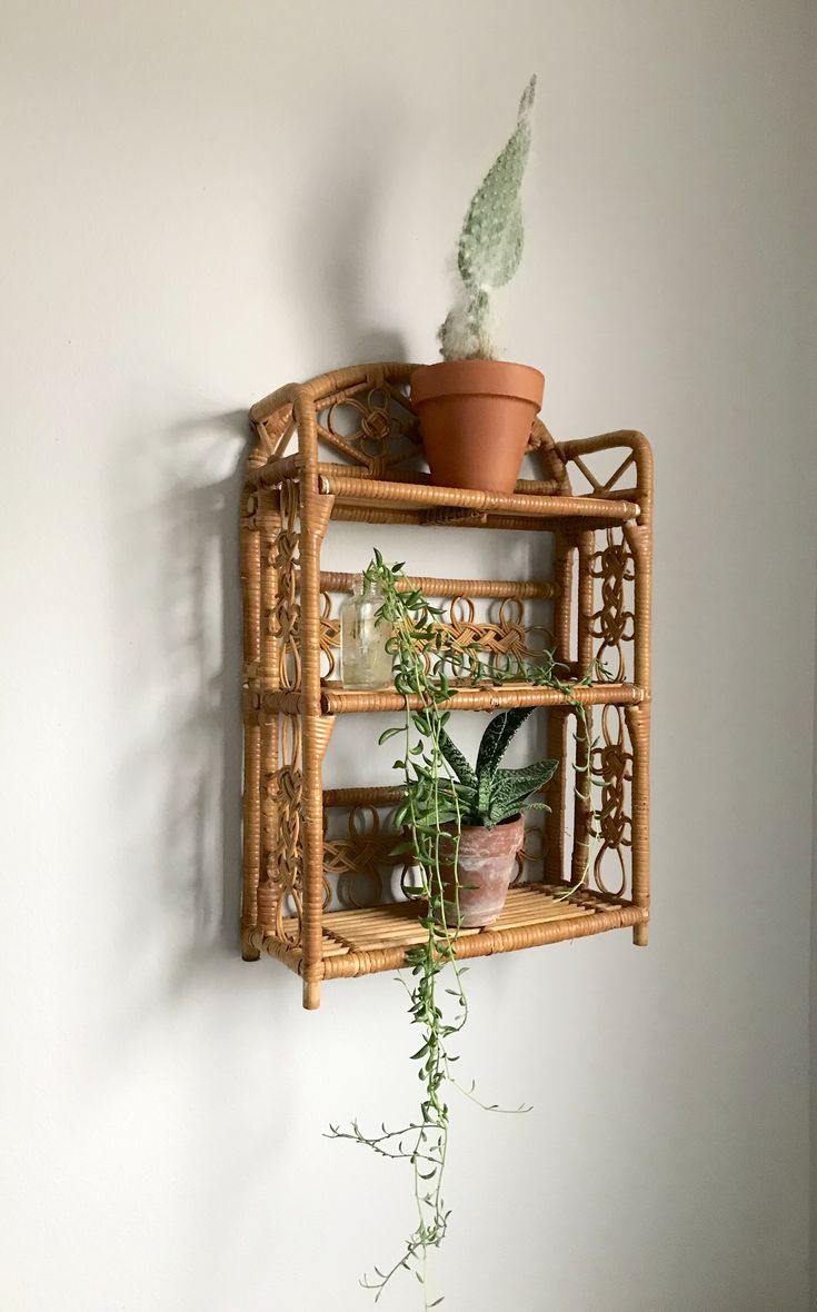 a potted plant sitting on top of a wooden shelf next to a white wall