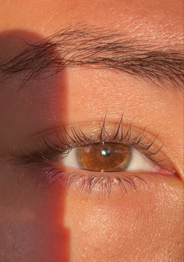 Brown Eyes In The Sun Aesthetic, Light Brown Eyes Aesthetic, Brown Eyes In Sunlight, Brown Eyes In The Sun, Pretty Eyes Color, Prettiest Eyes, Belle And Adam, Brown Eyes Aesthetic, Pretty Brown Eyes