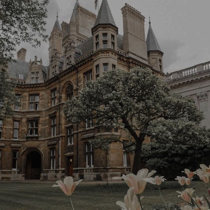 some white flowers and trees in front of a large building with turrets on the top