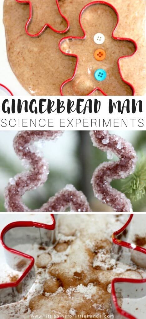 gingerbread man science experiment for kids to learn how to make gingerbread man cookies