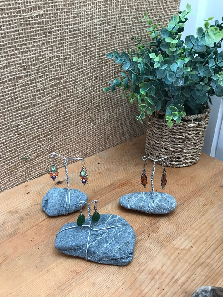 two small rocks are sitting on a table next to a potted plant and some wire