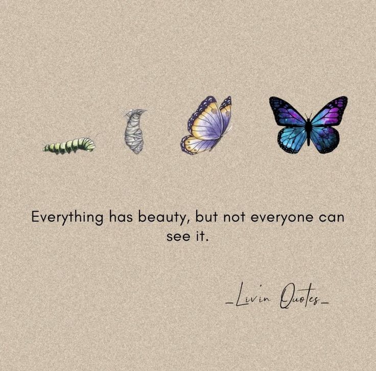 four butterflies with the quote, everything has beauty, but not everyone can see it