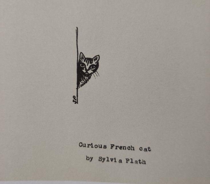 an image of a cat peeking out from behind a piece of paper with the words curious french cat written on it