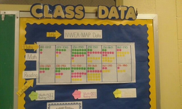 a bulletin board that has been made to look like a class day calendar with owls on it