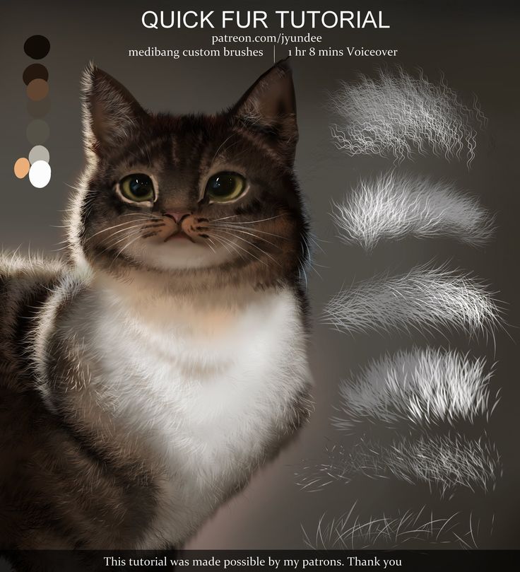 a cat is looking at the camera while it's image is being edited in photoshopped