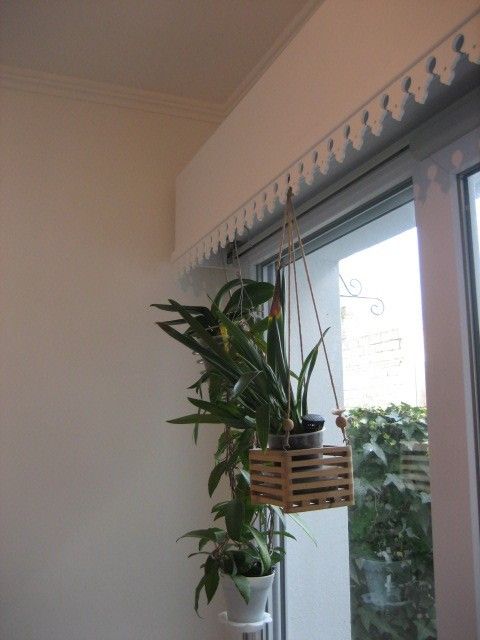 a potted plant hanging from a window sill