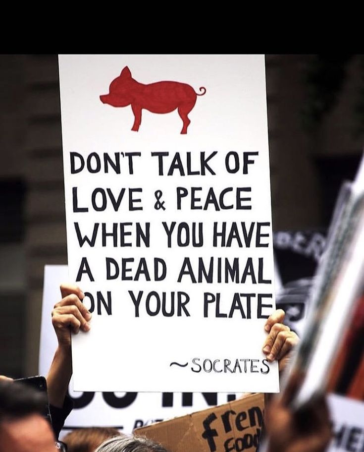 people holding up signs and placares during a protest against the animal rights act