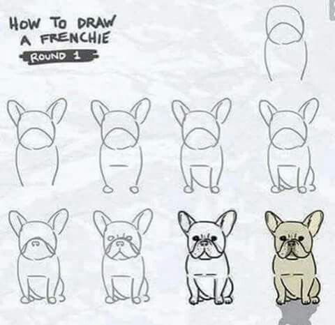 how to draw a frenchie step by step instructions for children and beginners with pictures