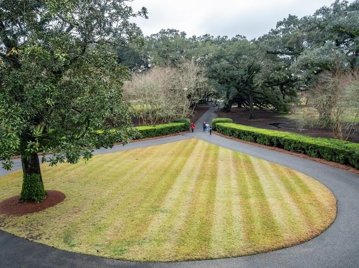 two people walking down a path in the middle of a lush green park with trees