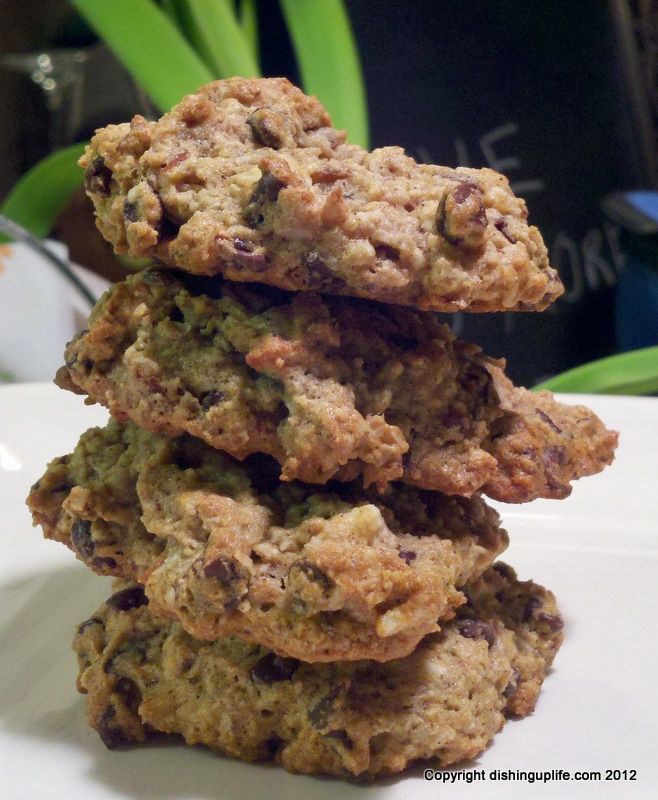 three oatmeal cookies stacked on top of each other in front of a plant